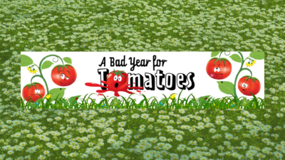 The Front Porch Players Proudly Present A Bad Year for Tomatoes