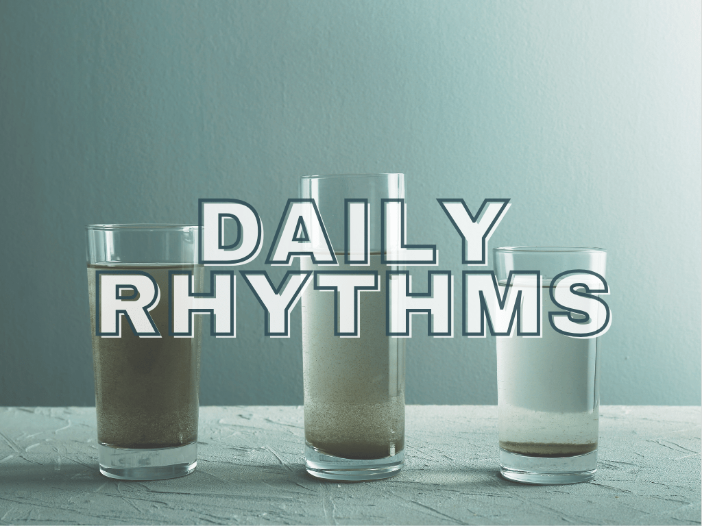 Daily Rhythms